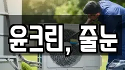 윤크린, 줄눈