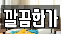 깔끔한가