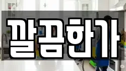 깔끔한가