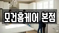 경기 시흥시 은행동 청소,입주청소,사무실청소,에어컨청소,특수청소,상가청소,거주청소,유품정리