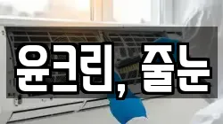윤크린, 줄눈