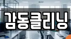 감동클리닝
