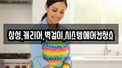 삼성,캐리어,벽걸이,시스템에어컨청소