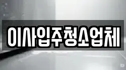 이사입주청소업체