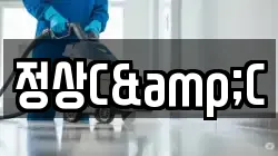 정상C&C