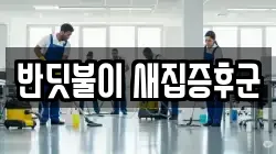 반딧불이 새집증후군