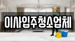 이사입주청소업체