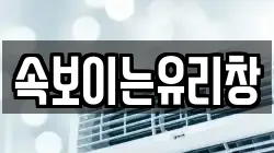 속보이는유리창