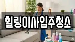힐링이사입주청소