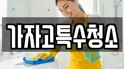 가자고특수청소