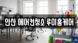 안산 에어컨청소 루이홈케어