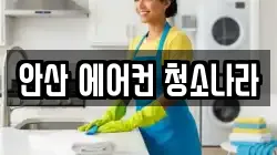 안산 에어컨 청소나라