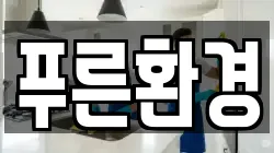푸른환경
