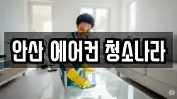 안산 에어컨 청소나라