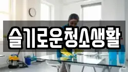 슬기로운청소생활