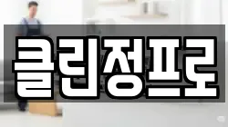 클린정프로