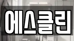 에스클린