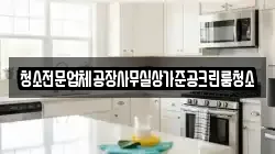 청소전문업체공장사무실상가준공크린룸청소