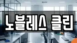 노블레스 클린