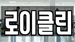 로이클린