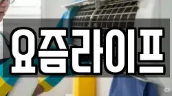 요즘라이프