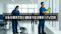 자동차에어컨청소냄새제거실내에바크리닝업체