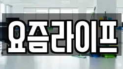 요즘라이프