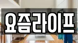 요즘라이프