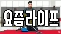 요즘라이프