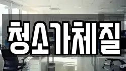 청소가체질