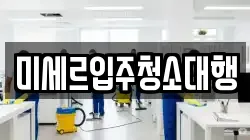 미세르입주청소대행