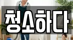 청소하다