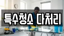 특수청소 다처리