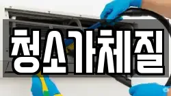 청소가체질