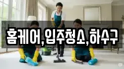 홈케어,입주청소,하수구
