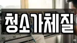 청소가체질