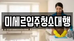 미세르입주청소대행