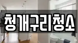 청개구리청소