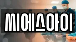 씨에스아이