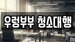 경기 양평군 강하면 청소,입주청소,사무실청소,에어컨청소,특수청소,상가청소,거주청소,유품정리
