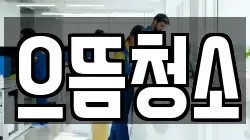 으뜸청소
