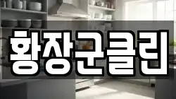 황장군클린