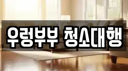 우렁부부 청소대행