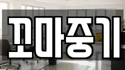 꼬마중기