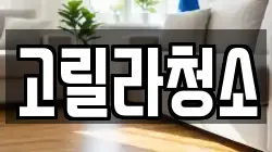 경기 여주시 상동 청소,입주청소,사무실청소,에어컨청소,특수청소,상가청소,거주청소,유품정리