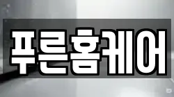 경기 여주시 천송동 청소,입주청소,사무실청소,에어컨청소,특수청소,상가청소,거주청소,유품정리