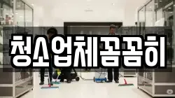 청소업체꼼꼼히