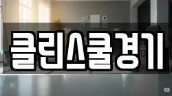 클린스쿨경기