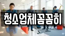 청소업체꼼꼼히