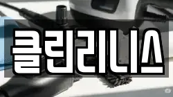 클린리니스